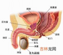 克拉霉素治疗非淋菌性尿道炎和宫颈炎