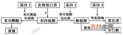 色素沉着息肉综合征五家系16例分析