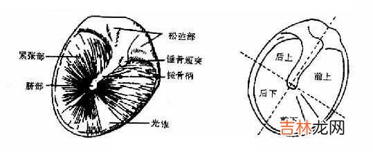 如何用咽鼓管吹张法检查咽鼓管的功能