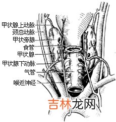 喉肌弱症的治疗主要有哪几方面