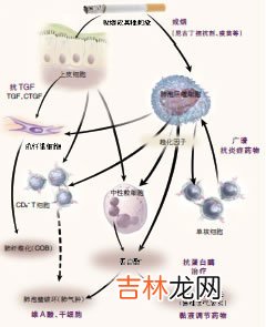 尖锐湿疣患者可溶性肿瘤坏死因子受体和白介素8水平的检测