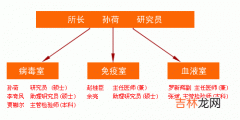 解脲支原体第一群的分型研究