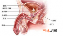 生殖器接触致男性尿道炎淋球菌性尿道炎二例