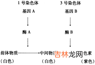 寻常型银屑病患者HLA-DQB1等位基因多态性分析