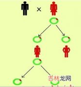 除氨基甙类抗生素外还有哪些药物可引起耳聋