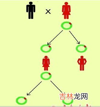 除氨基甙类抗生素外还有哪些药物可引起耳聋