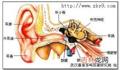 外耳道冲洗法的适应症操作法及禁忌症是什么