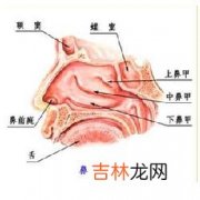 慢性单纯型鼻炎应如何治疗