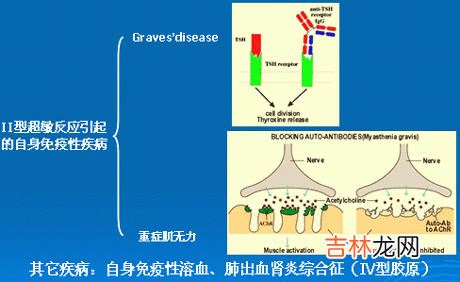 系统性红斑狼疮患者T淋巴细胞Fas抗原的表达和凋亡的研究