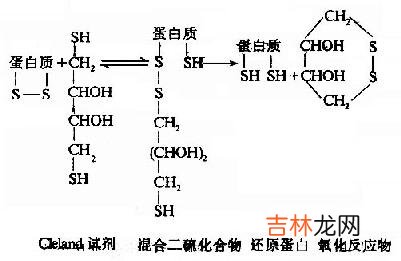 组氨酸光氧化试验检测吡哌酸和诺氟沙星的光敏性