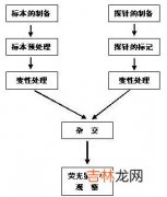 运用原位DNA末端标记技术观察毛母质瘤中的细胞凋亡