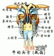 急性鼻窦炎的预防和康复应注意哪些方面