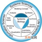 淋球菌L型的诱导及基本生物学性状的研究