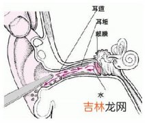 516例甲真菌病分析