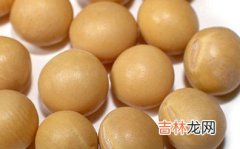 黄豆可以祛斑七种食物祛斑高手