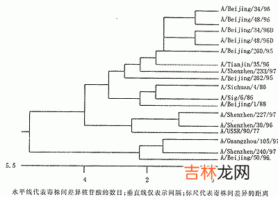 一例复发性生殖器疱疹的临床及其致病的HSV-2野生株的糖蛋白D基因序列分析