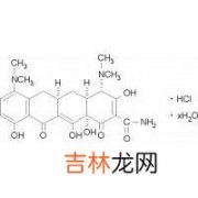 二甲胺四环素抗麻风杆菌活性及其治疗多菌型麻风的疗效