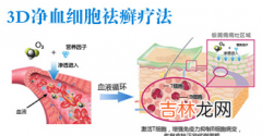 银屑病患者血清中神经免疫蛋白与淋巴细胞转化的研究