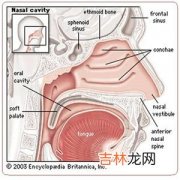 化脓性鼻窦炎如果下行感染常可引起哪些疾病