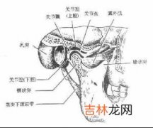 颞颌关节紊乱综合征如何调牙合