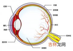 后葡萄膜炎有哪些临床表现