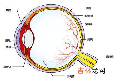 後葡萄膜炎有哪些臨床表現