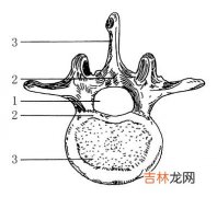 火器伤有什么特点