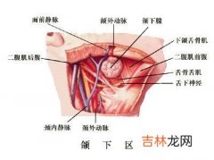 口腔颌面部肿瘤的治疗方法有哪些