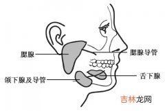 颌下腺肿瘤有什么临床特