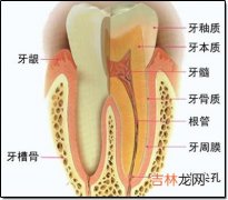 牙体缺损修复前要做什么准备