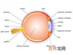 怎样治疗视网膜色素变性