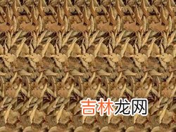 立体视觉是如何检查的