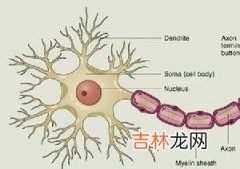 如何治疗视神经炎