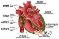 硬膜外阻滞后推拿治疗急性腰扭伤83例