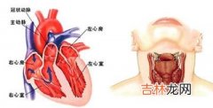 甲状腺次全切除治疗甲亢性心脏病36例