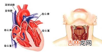 甲状腺次全切除治疗甲亢性心脏病36例