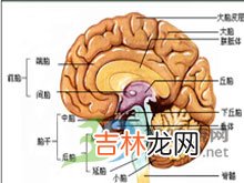 新兵SCL0症状自评量表测试结果分析