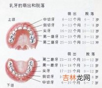 小孩换牙时应注意什么