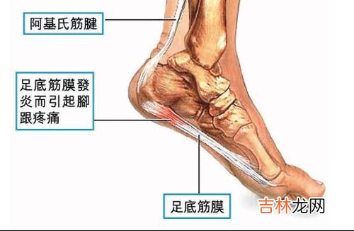 腹部严重多发伤术后并发急性坏死性13例