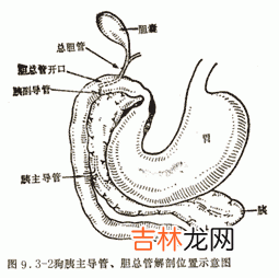 超声对急性胰腺炎胰液积聚的诊断价值探讨