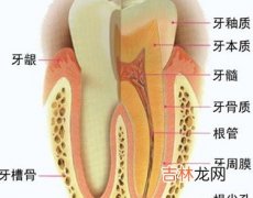 甲强复合凝胶治疗牙周炎疗效观察