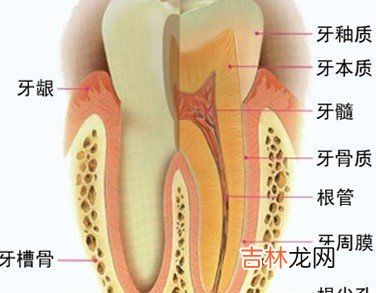 甲强复合凝胶治疗牙周炎疗效观察