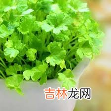 不好吃但确实管用的养颜食物