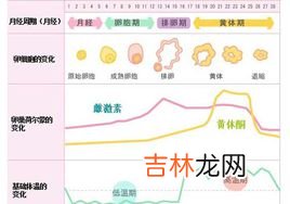 紧记敷面膜的生理周期表