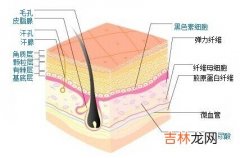 弹性美人的护肤课程