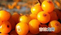 一周美容食谱不想变美都不行