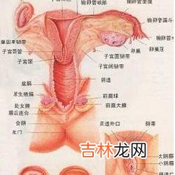 阴蒂包皮