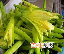 鲜黄花菜吃多了会中毒