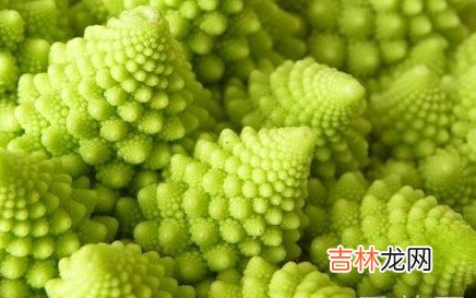 科学家提醒水煮花椰菜会降低其营养成分