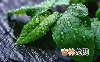 口气清新 让你的牙齿加美丽迷人